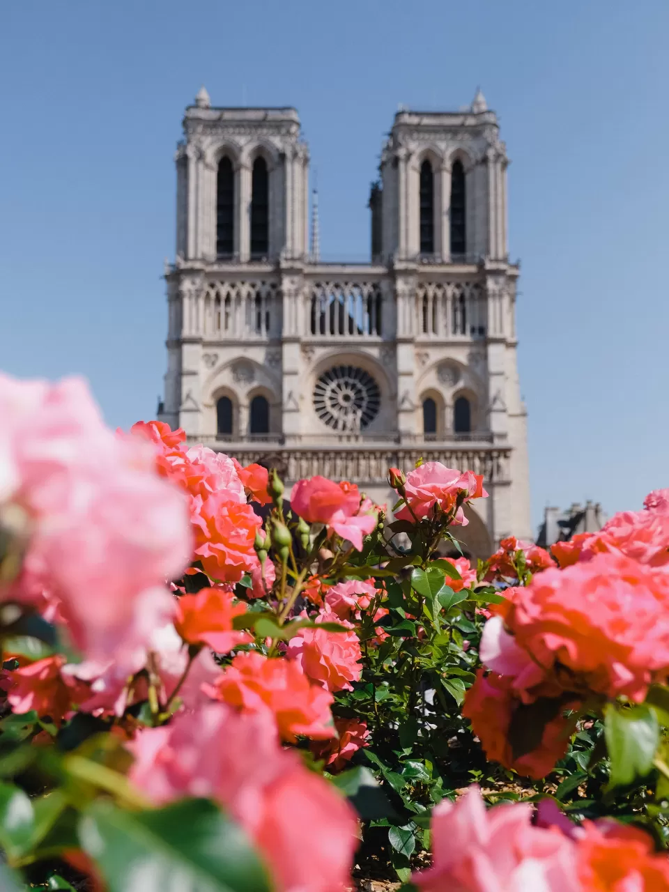 Notre Damme Katedrali’ne Dair Bazı Bilgiler