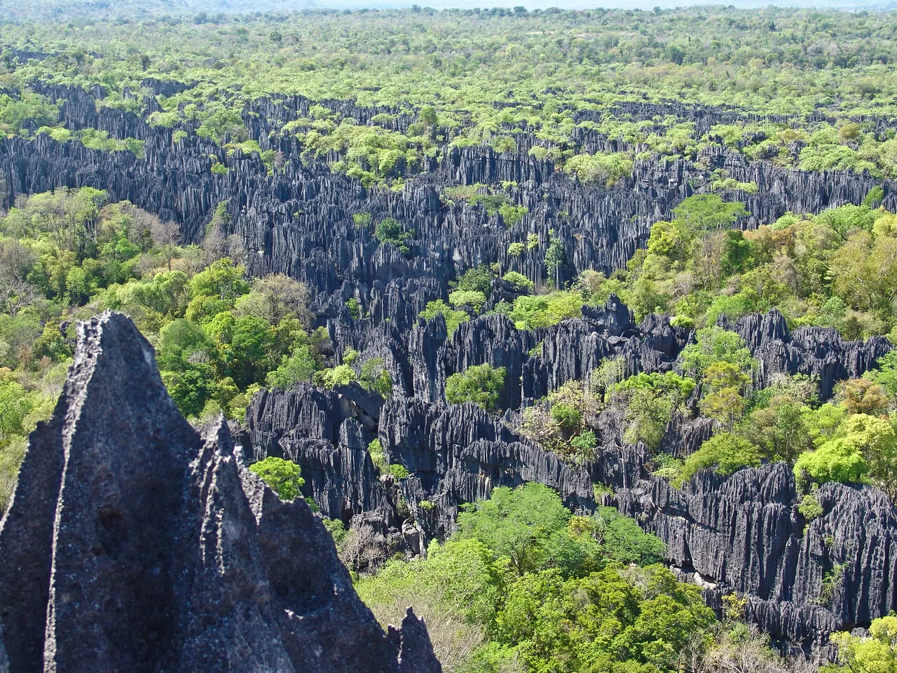 M.S. 500’e Kadar Kimseciklerin Haberi Olmamış