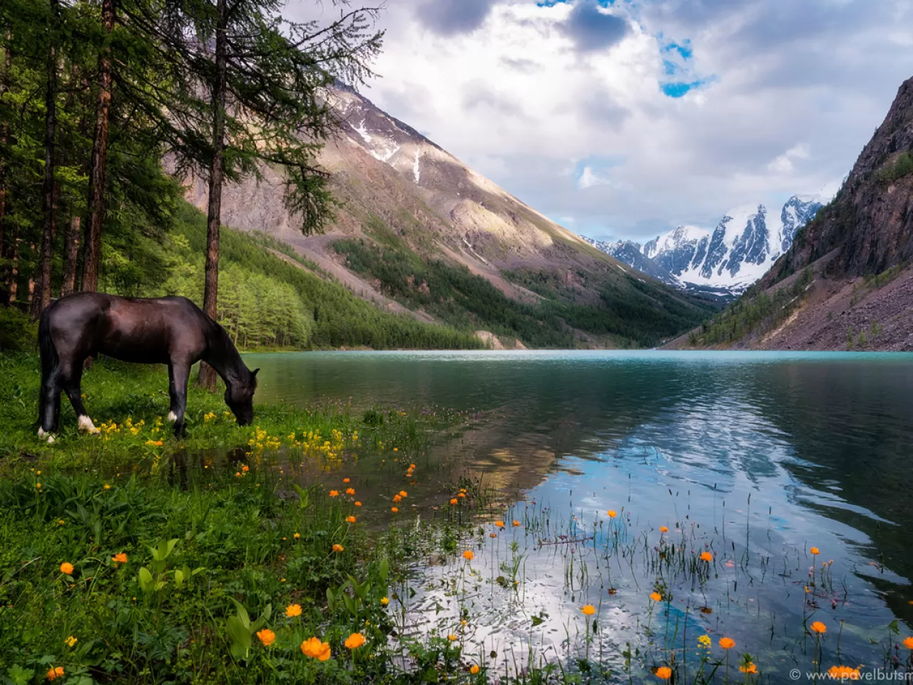 Vahşi Doğa Sevenleri İçin Bir Cennet