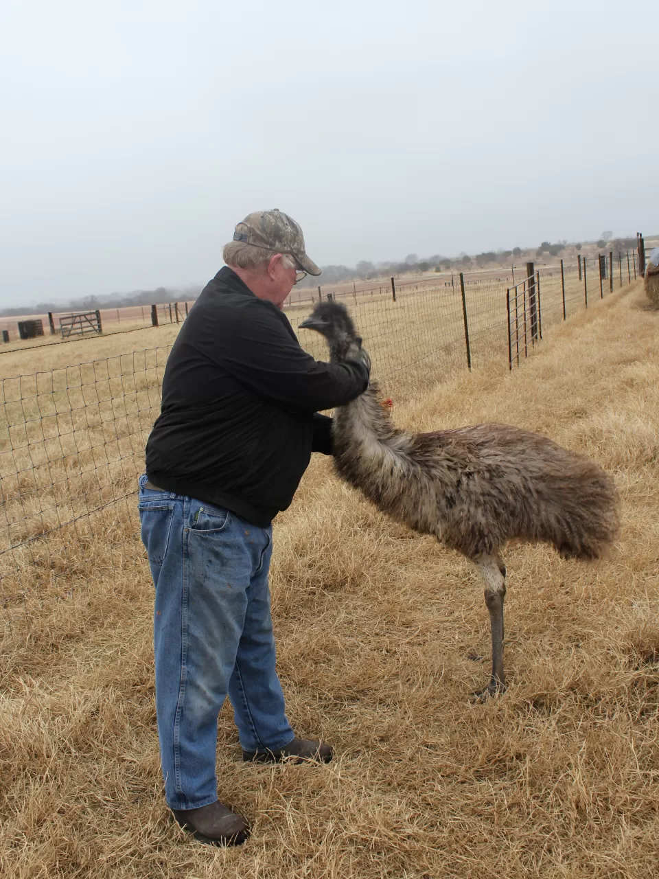 Çiftçilerin ödü patladı!