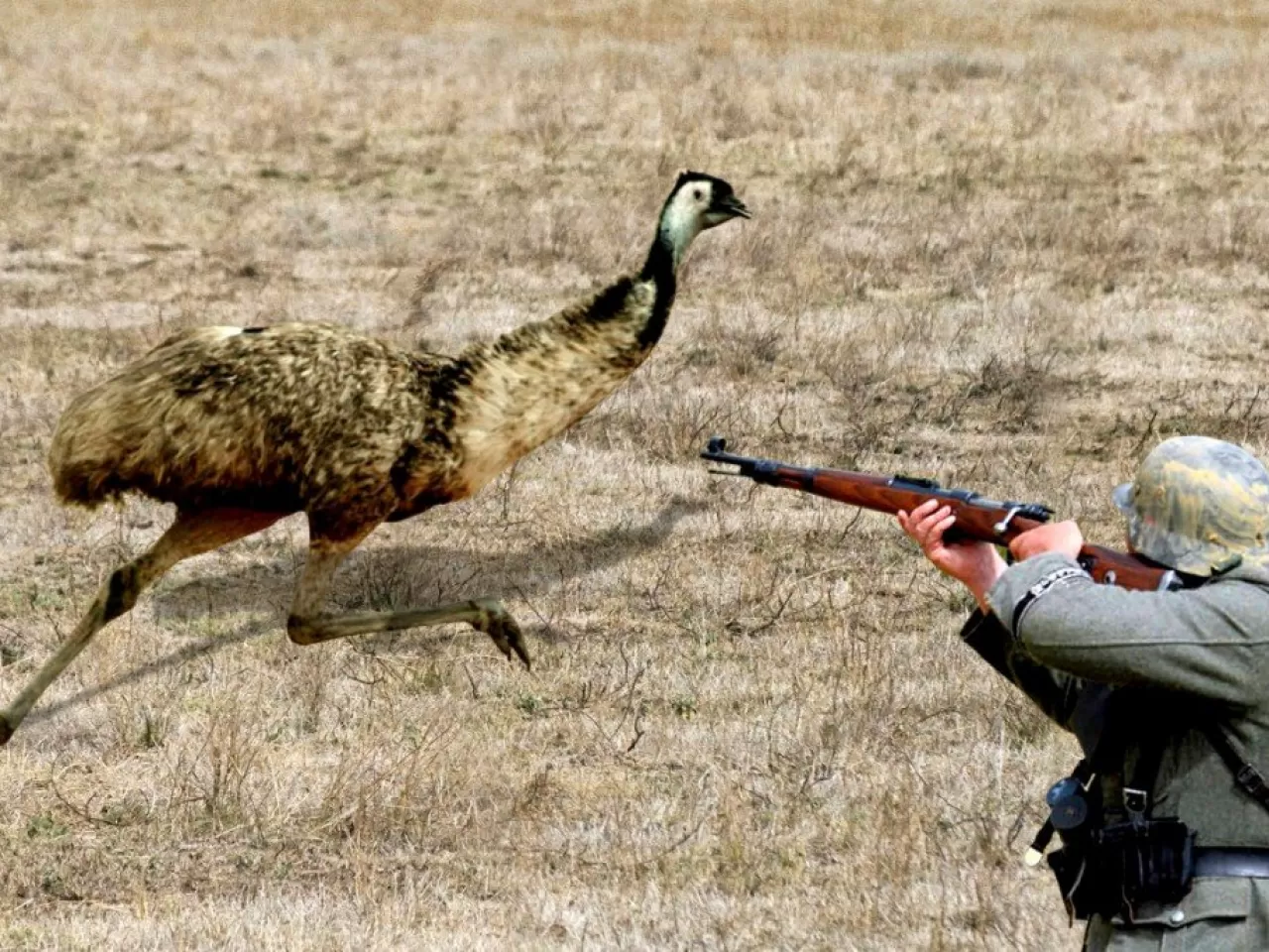 Ve savaş bitiyor… Yok yok yeniden başlıyor!