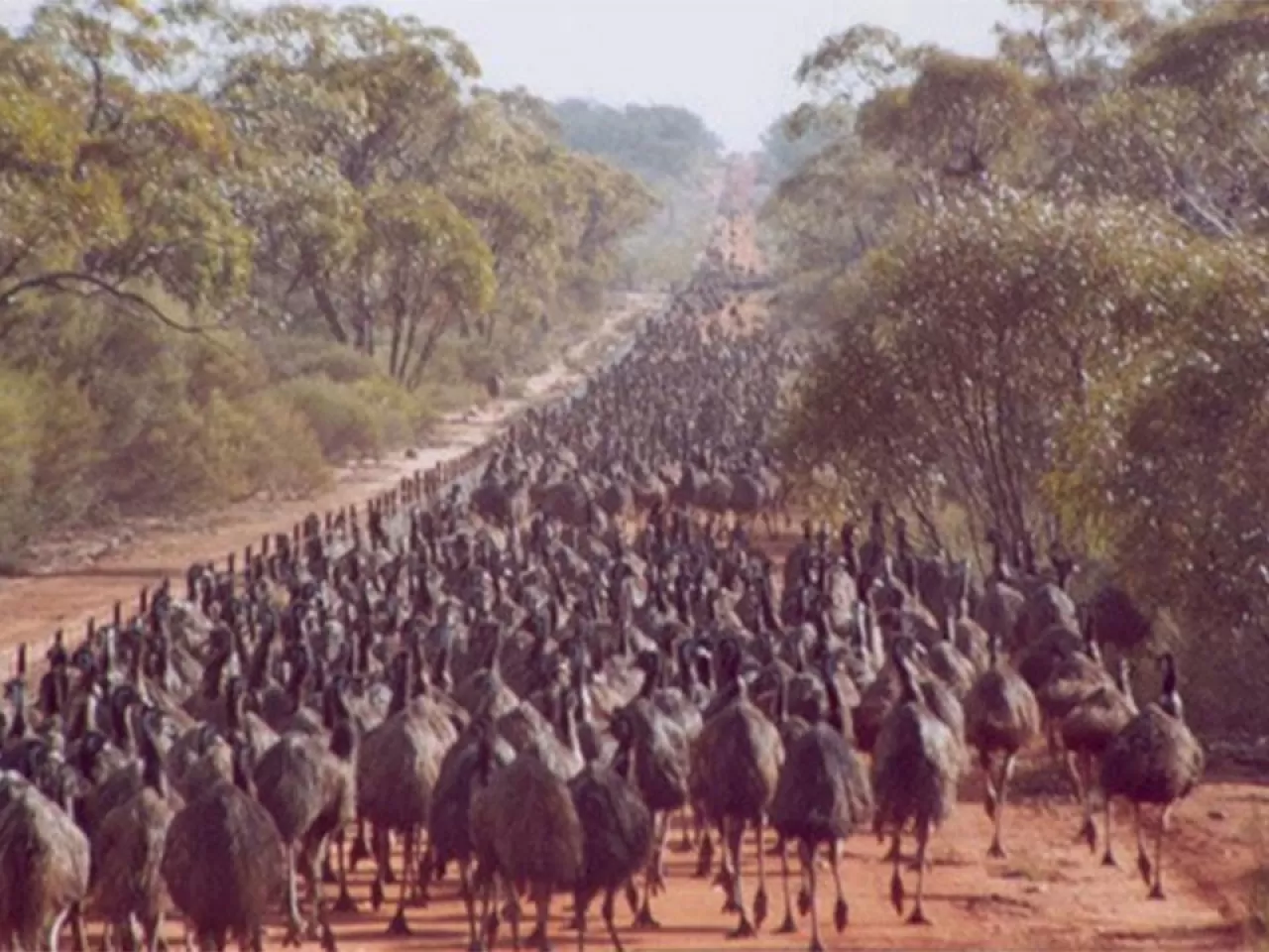 Daha bitmedi… Saldırılar devam ediyor.
