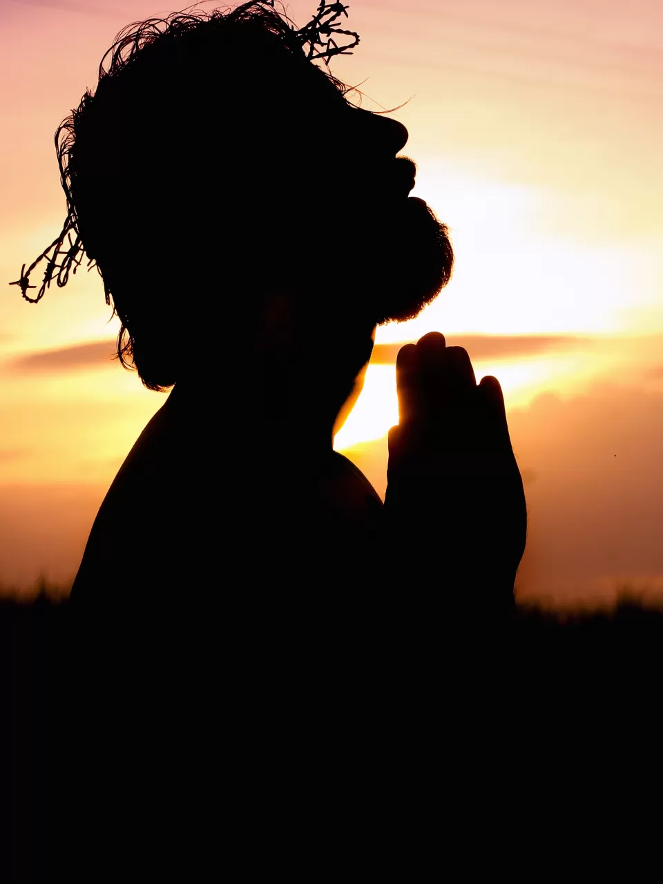 İnanan Sayılarına Göre Dinler (50 bin ve üzeri mensubu bulunan)