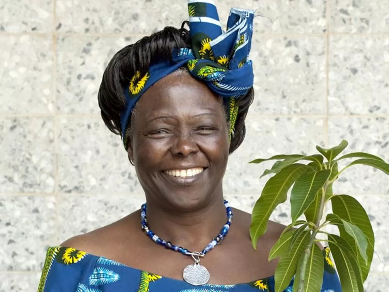 Wangari Maathai