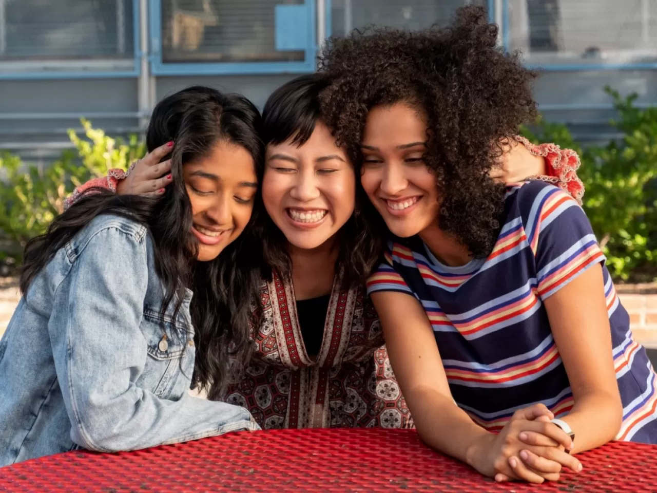 Never Have I Ever (2020- …)