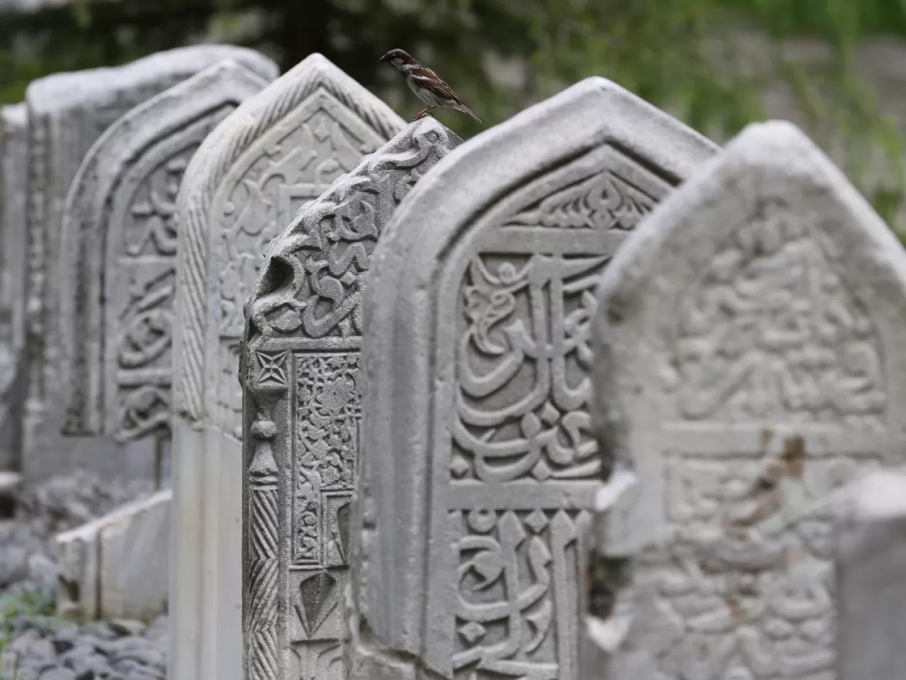 Öldüğünün Bilincinde Olmak