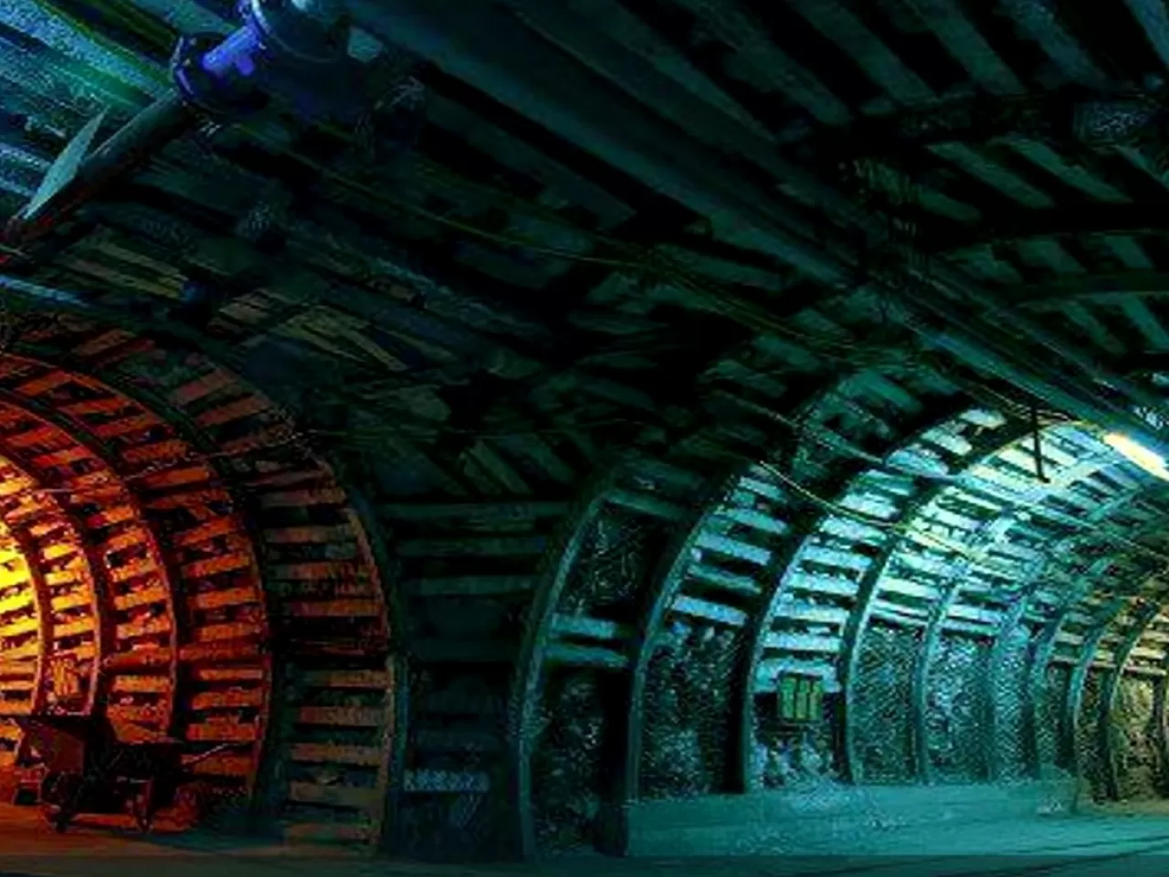 Programın Yayımlanması