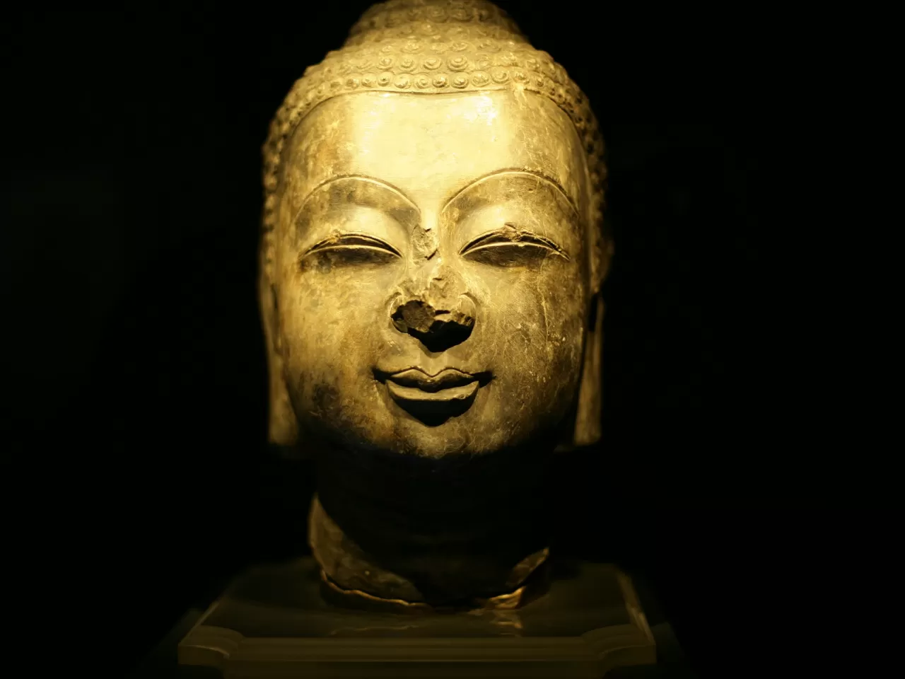 Yetişkinlik Dönemi