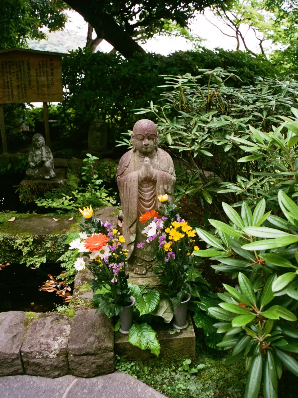 Çocukluğu ve Gençliği