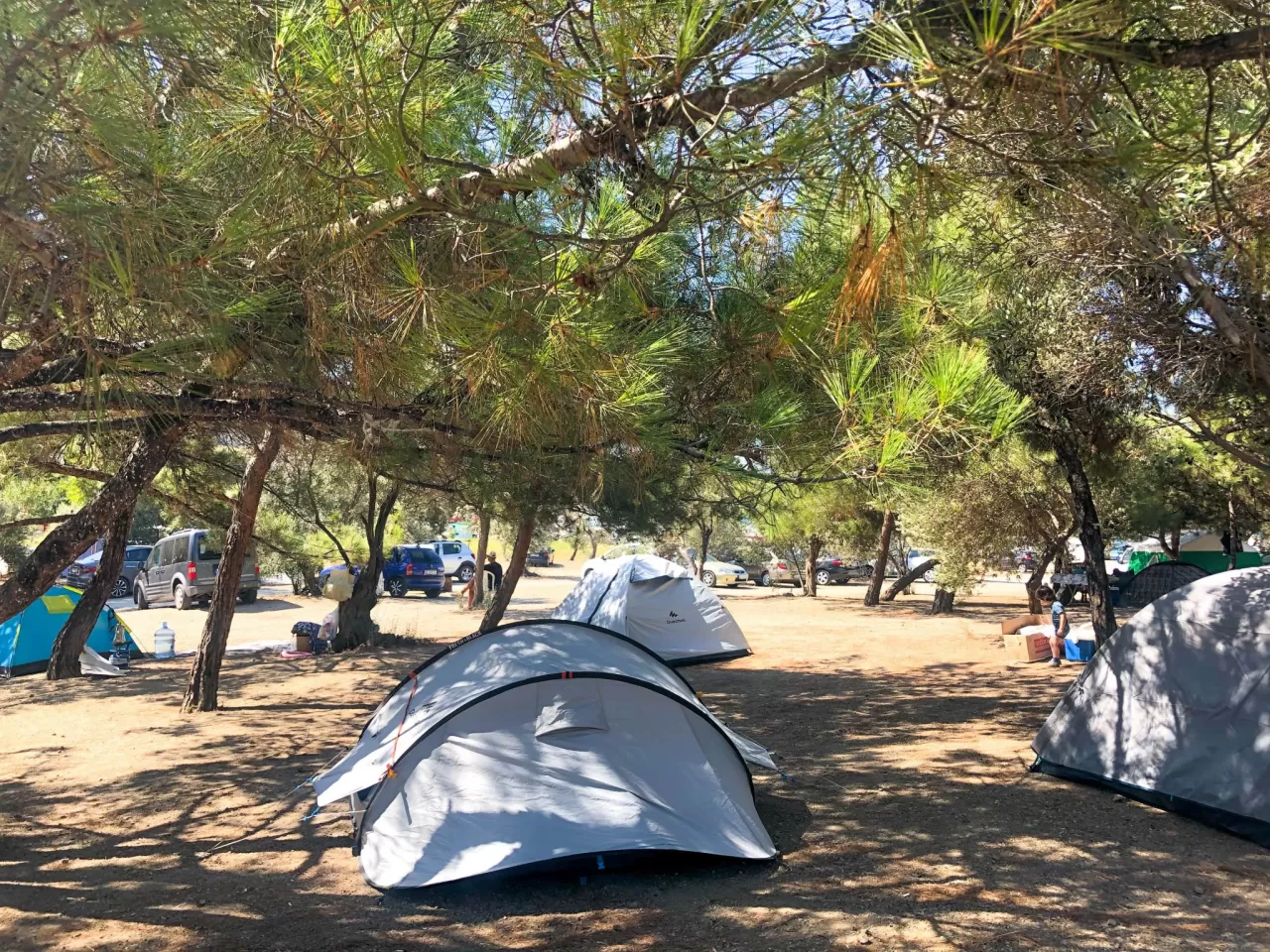 Muğla- Fethiye Küçük Kargı Orman Kampı: