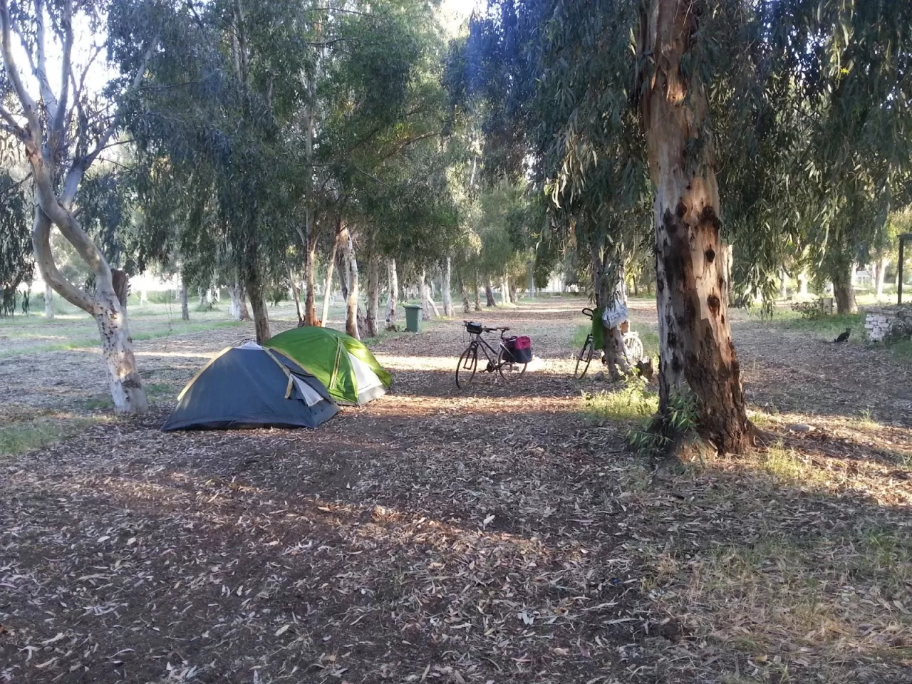 İzmir Dereli Kamp Alanı: