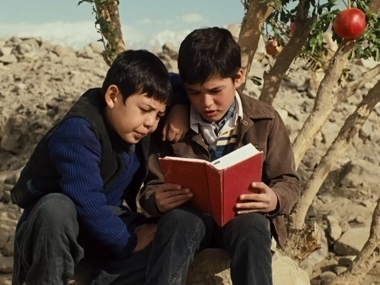 Uçurtma Avcısı 2007