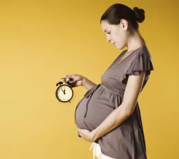 Hamilelikte 2. Ayda Bebekte ve Annede Görülen Değişimler