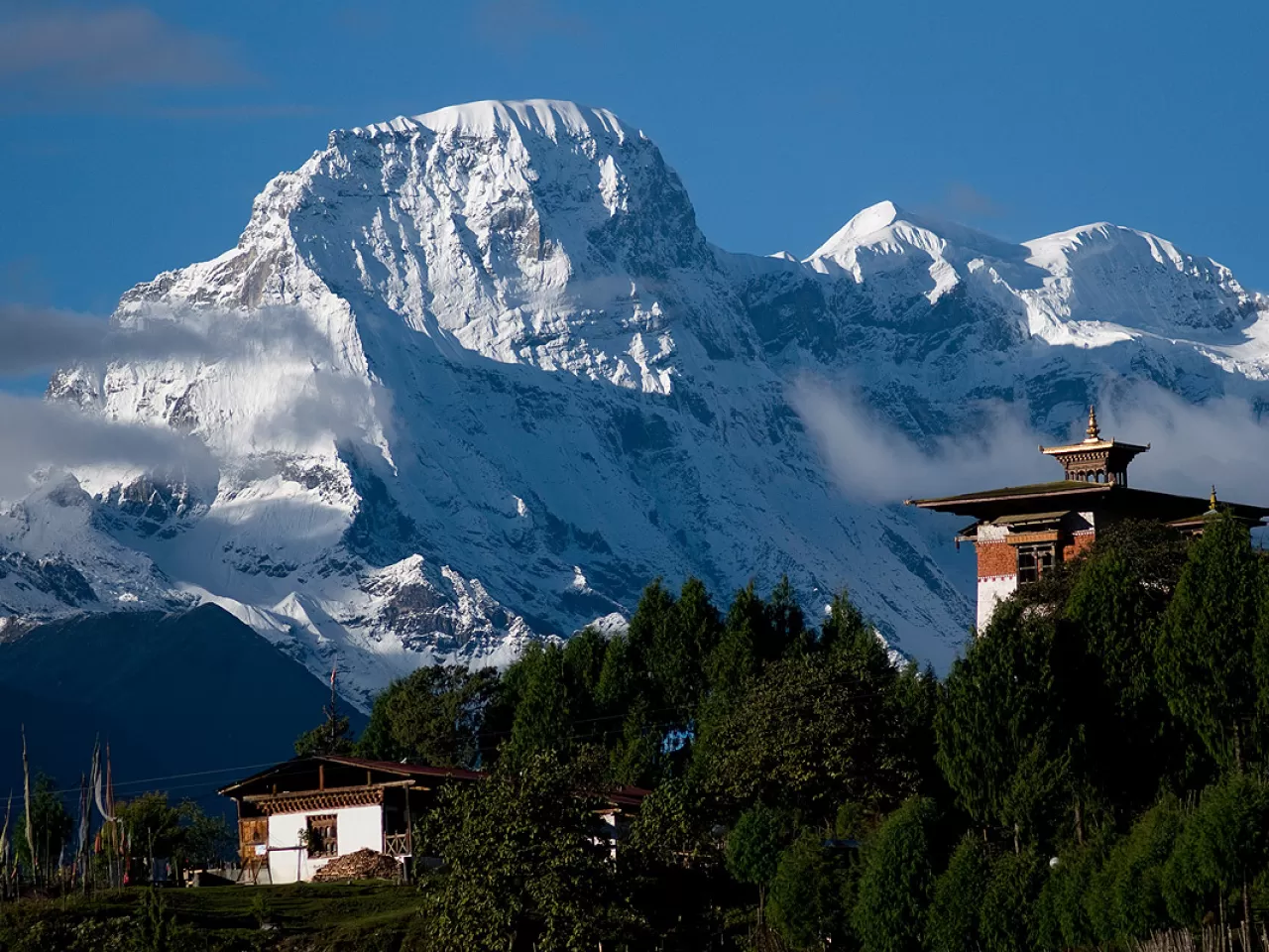 Son Shangri-La olarak bilinmektedir.