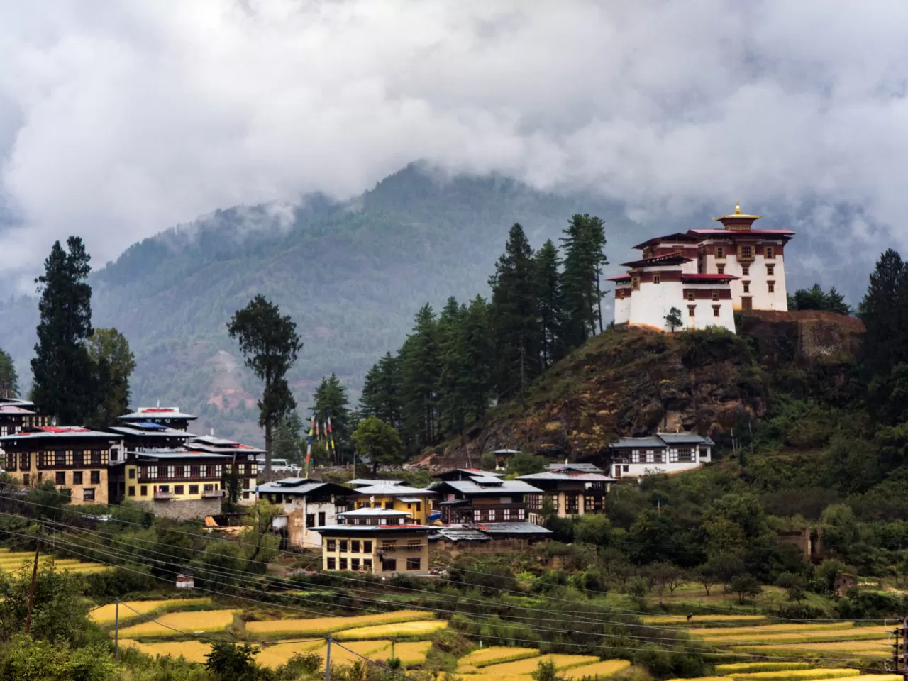 Ülke karbon salınımı miktarından daha fazla karbon emmektedir.