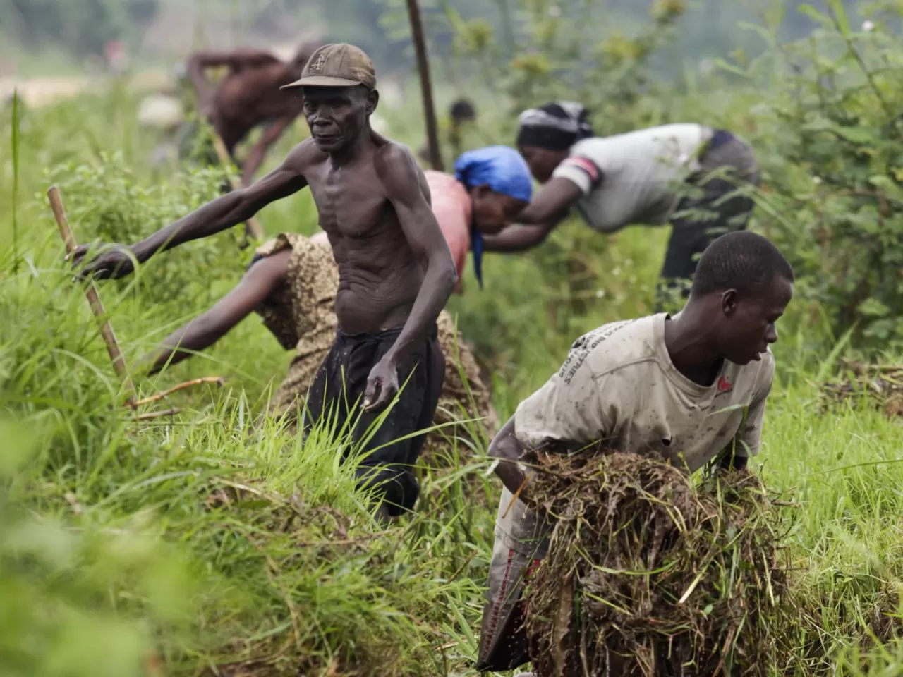 afrika Vasıfsız İşçilik