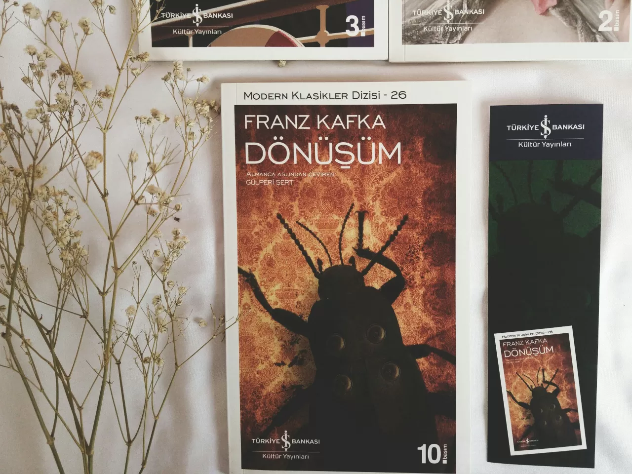 Dönüşüm, Franz Kafka-1915