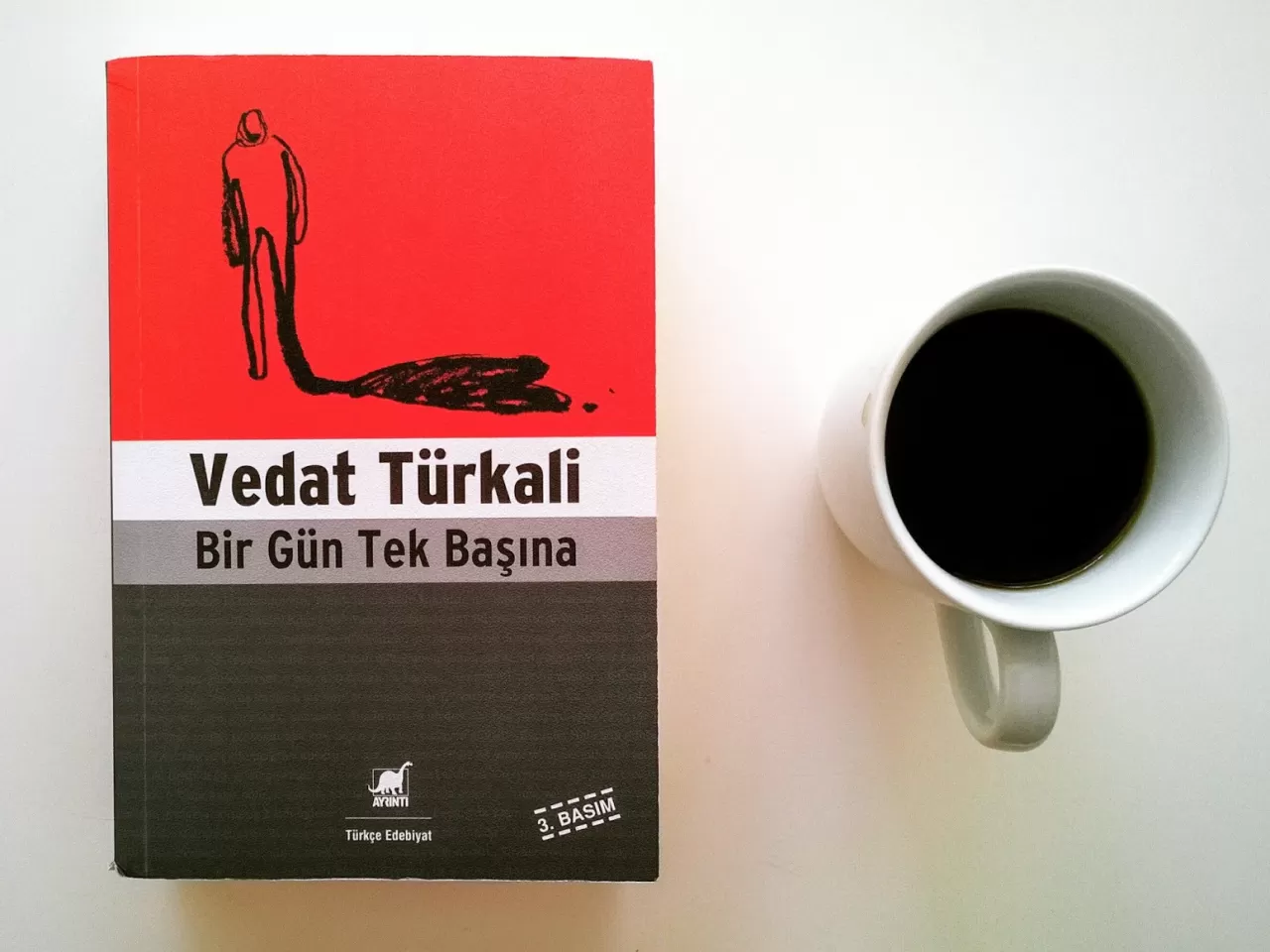 Bir Gün Tek Başına, Vedat Türkali-1975