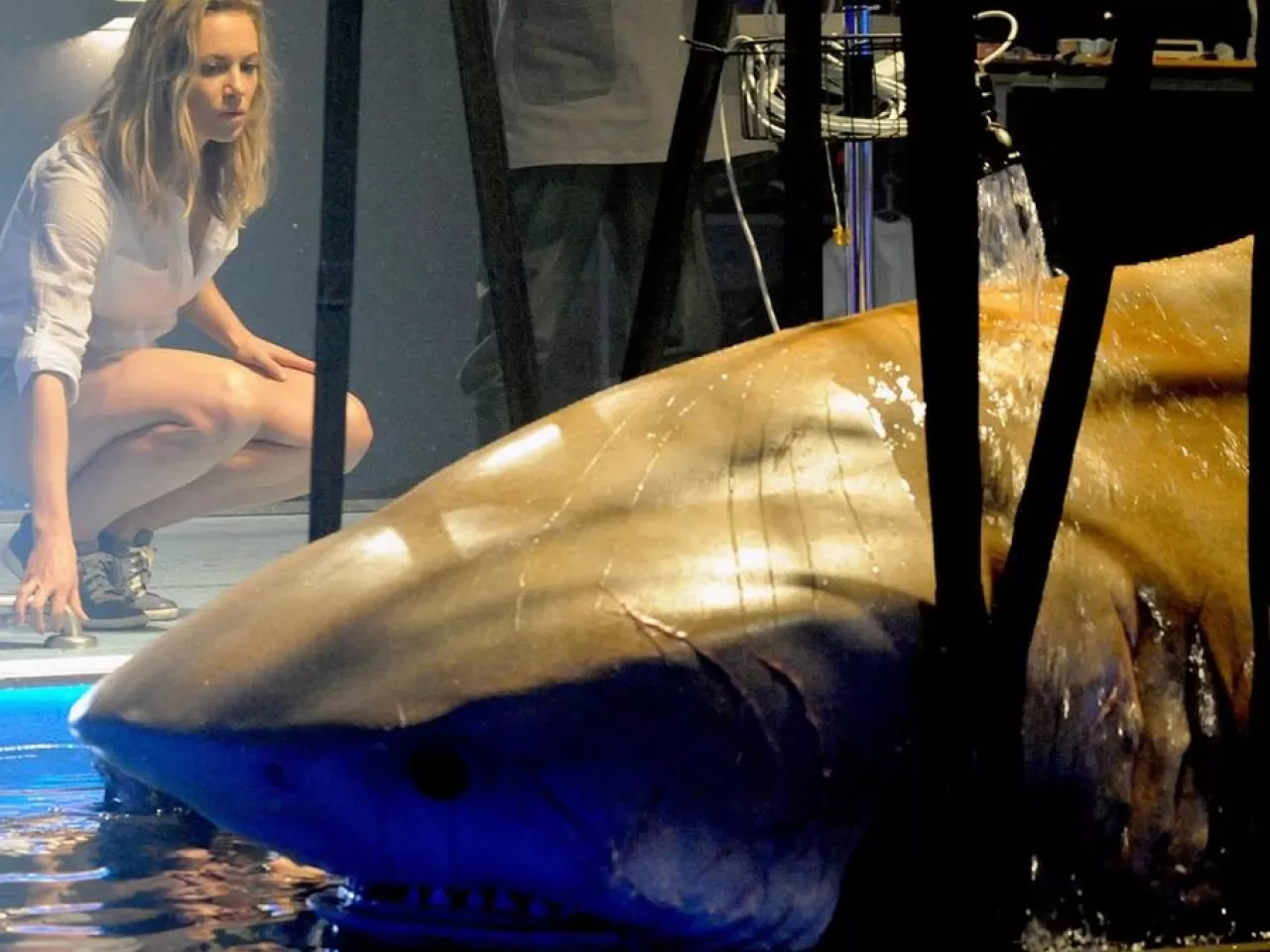 Deep Blue Sea/ Mavi Korku