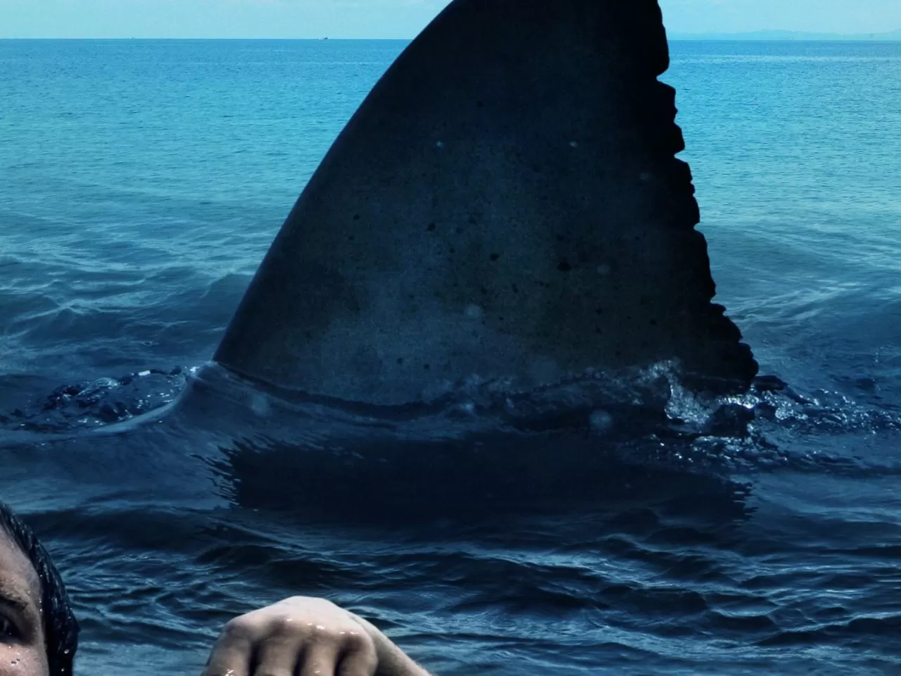 The Reef/ Dehşetin Dişleri