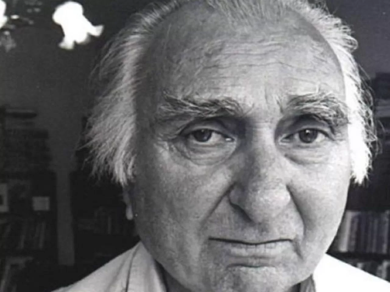 Hasan İzzettin Dinamo