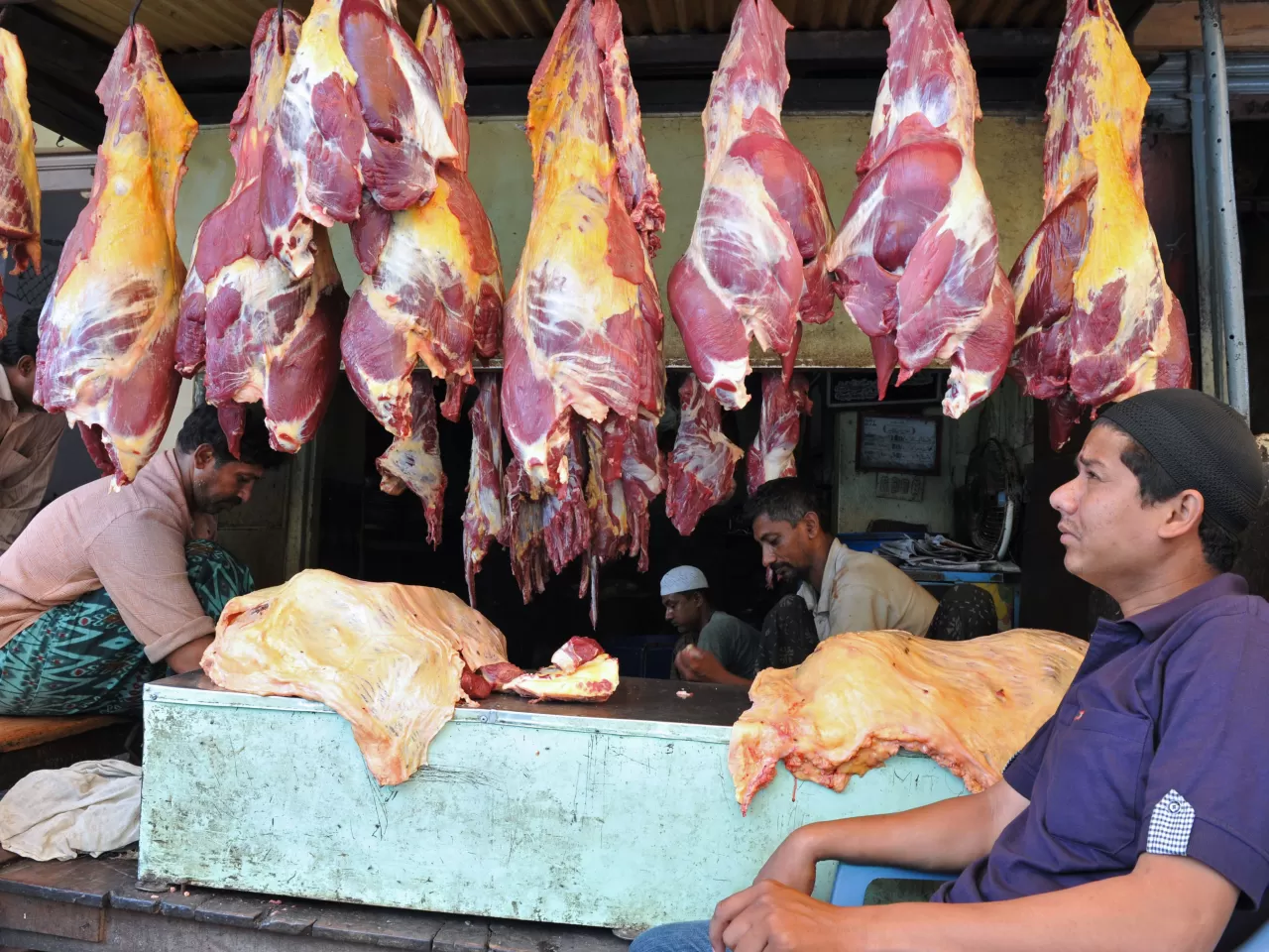 Kırmızı Devrim (Red Revolution)