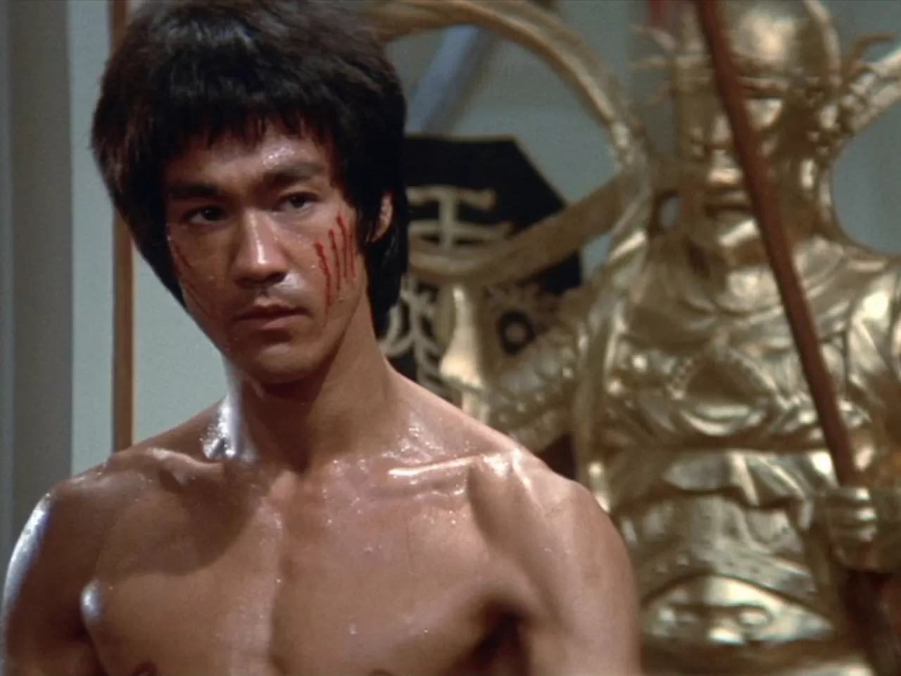 Enter the Dragon