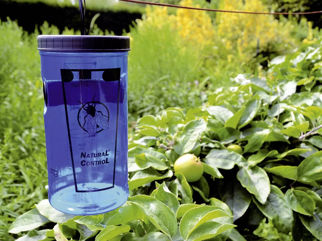 Sinek ve Böceklere Karşı Koruma: