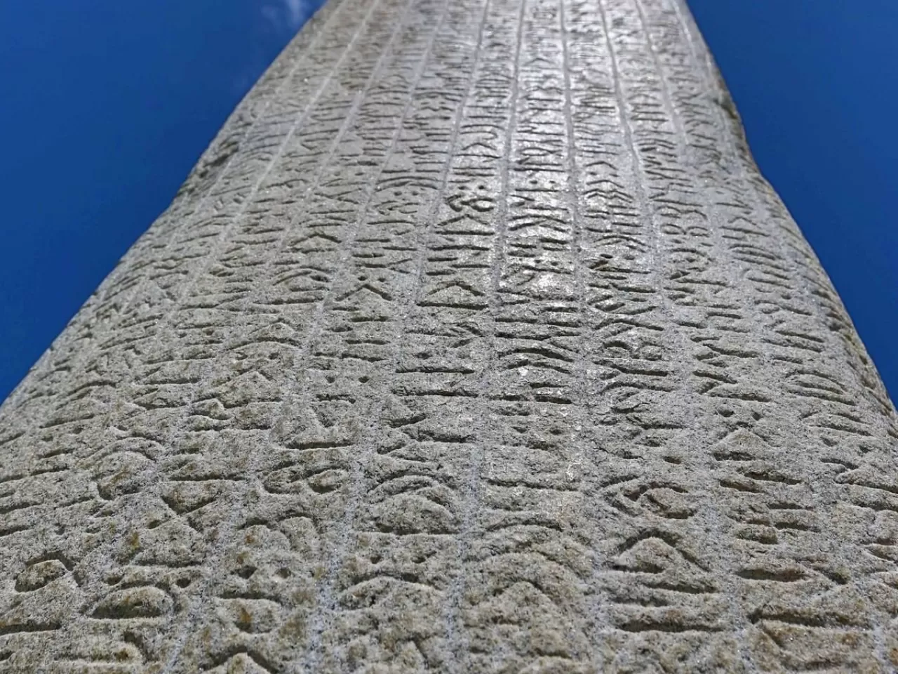 Türk Dili ve Edebiyatı