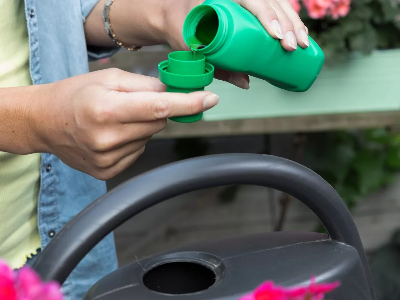 Orkidenin Beslenmesi