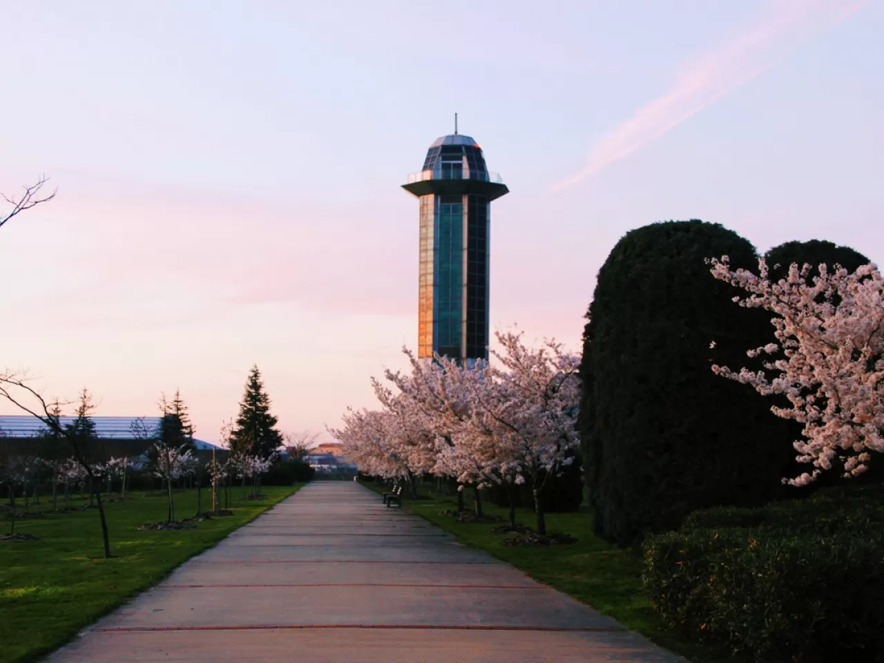 Sabancı Üniversitesi Kampüsü