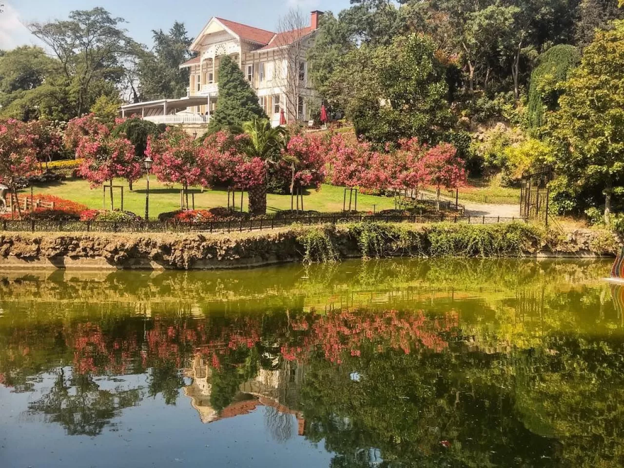 Sarıyer Emirgan Korusu