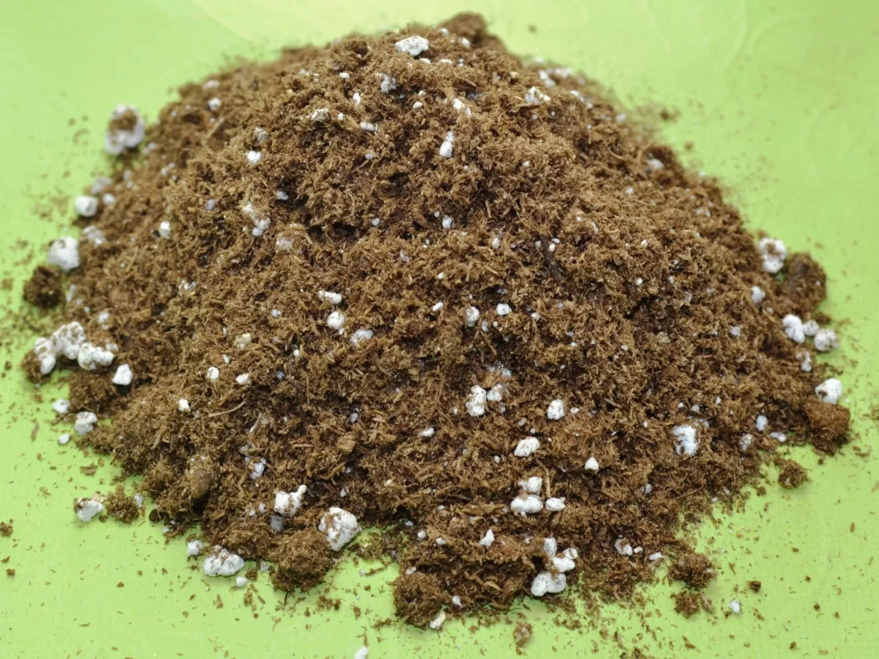 Menekşe Çiçeğinin Toprağı