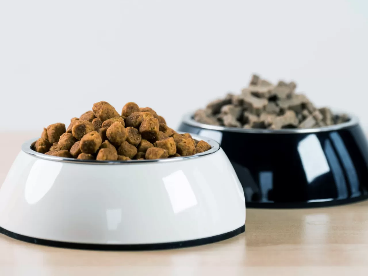 Cavalier King Charles’ın Beslenmesi