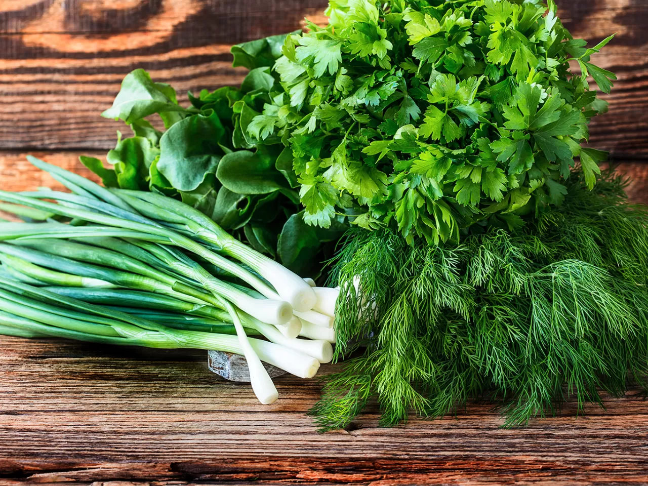 Yeşillikleri Buzdolabında Bozulmadan Daha Uzun Süre Saklamak İçin 6 Yöntem