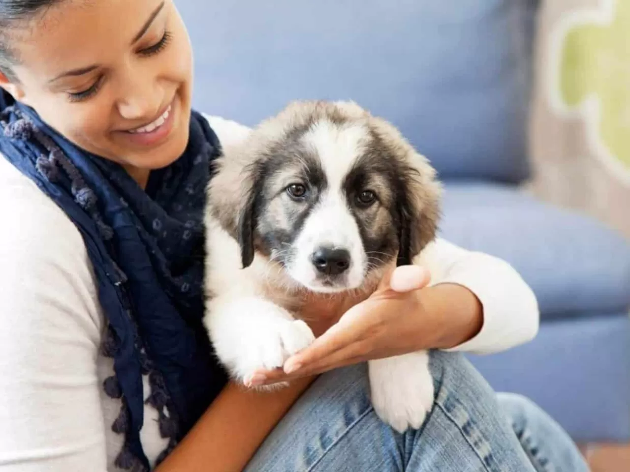 Evcil Hayvan Bakıcılığı Yapmak