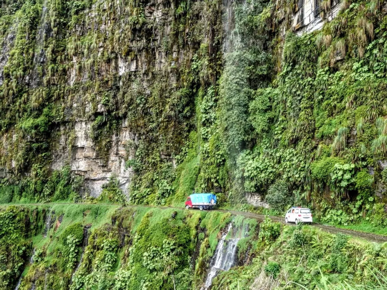 Kuzey Yungas Yolu, Bolivya
