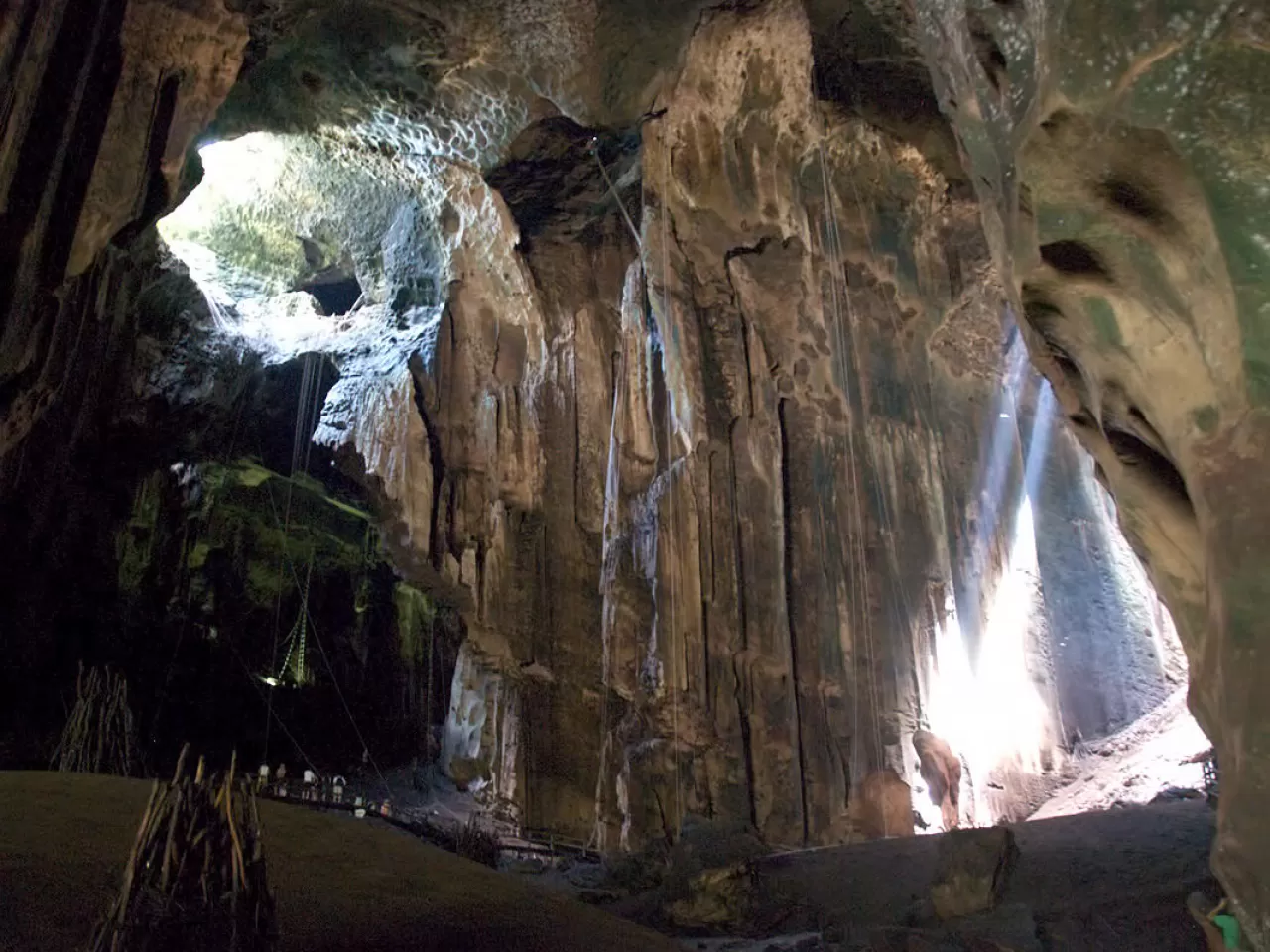 Gomantong Mağaraları, Sabah, Malezya