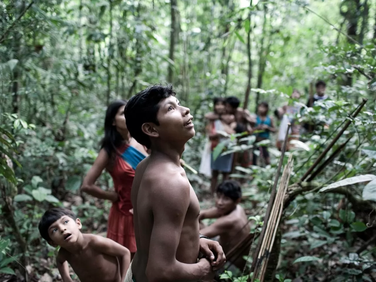 Brazilian machete rainforest massacre