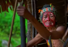 Amazon Ormanlarında Yaşayan İnsanlar