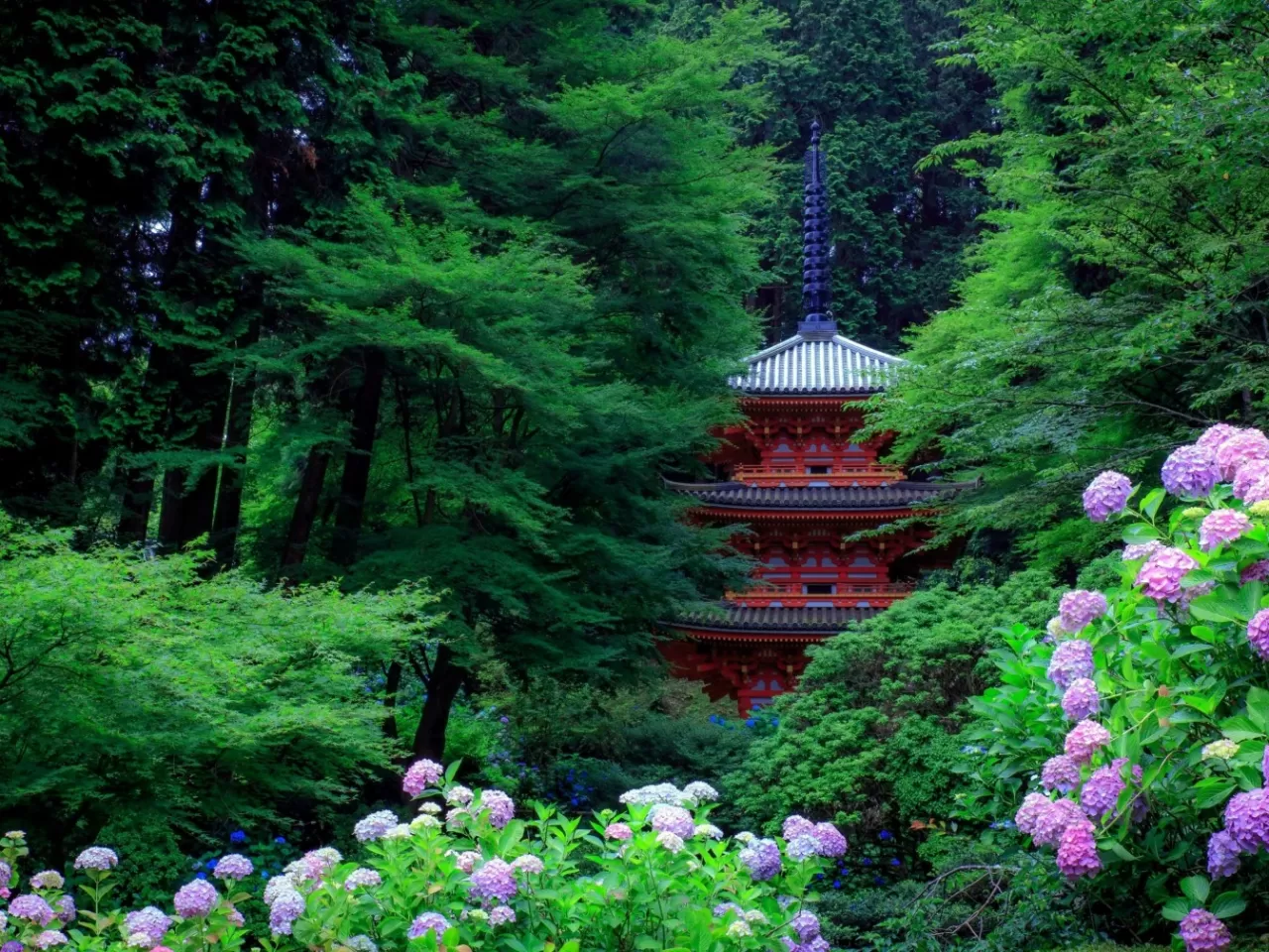 Vahşi Yaşam ve Doğa