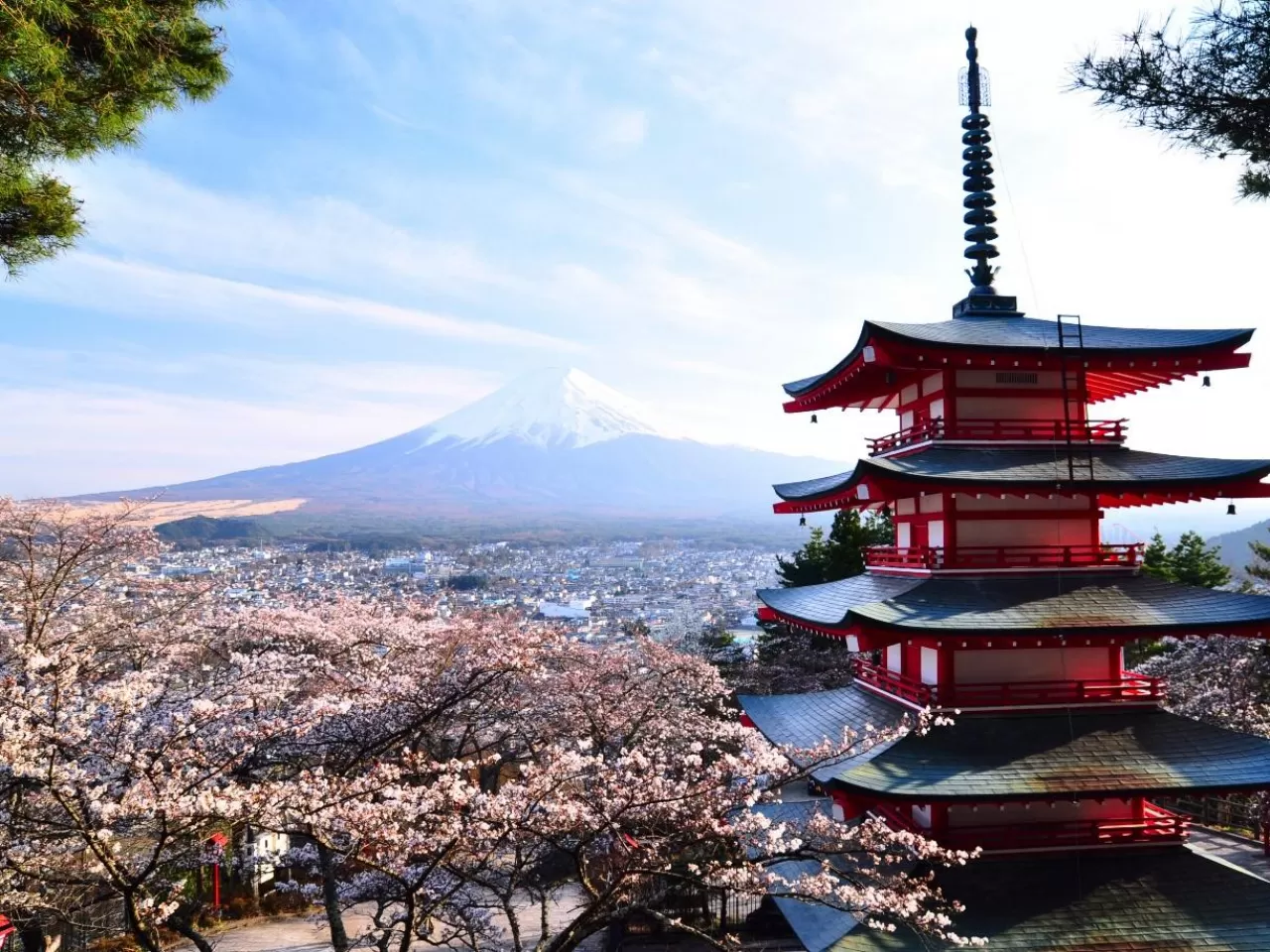 Japonya Hakkında Bilgi: 15 Özelliğiyle Japonya Hakkında İlginç Gerçekler
