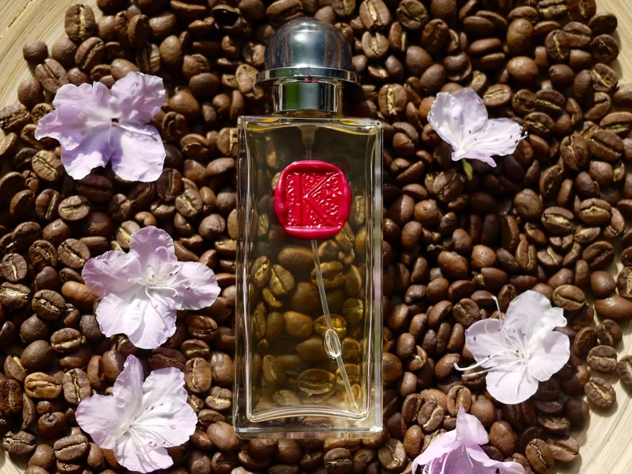 Kafein İçeren Şampuanlar