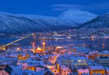 Norveç Hakkında Bilgi: 10 Özelliğiyle Norveç Hakkında Merak Edilenler