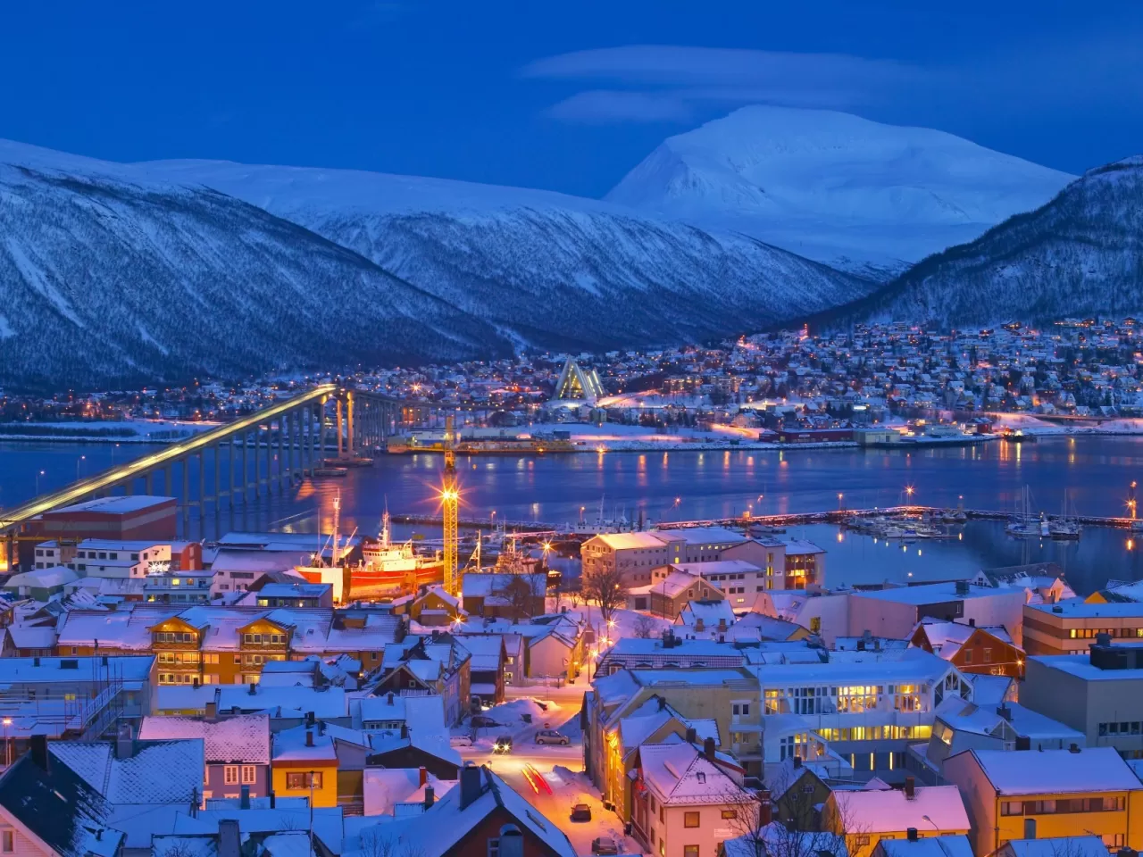 Norveç Hakkında Bilgi: 10 Özelliğiyle Norveç Hakkında Merak Edilenler