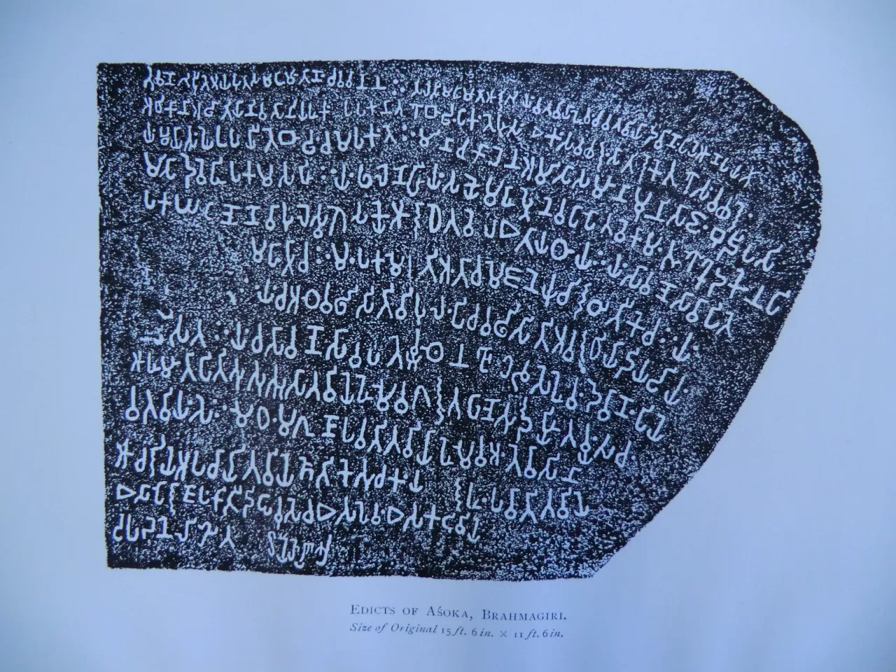 Aşoka’nın Din Politikası