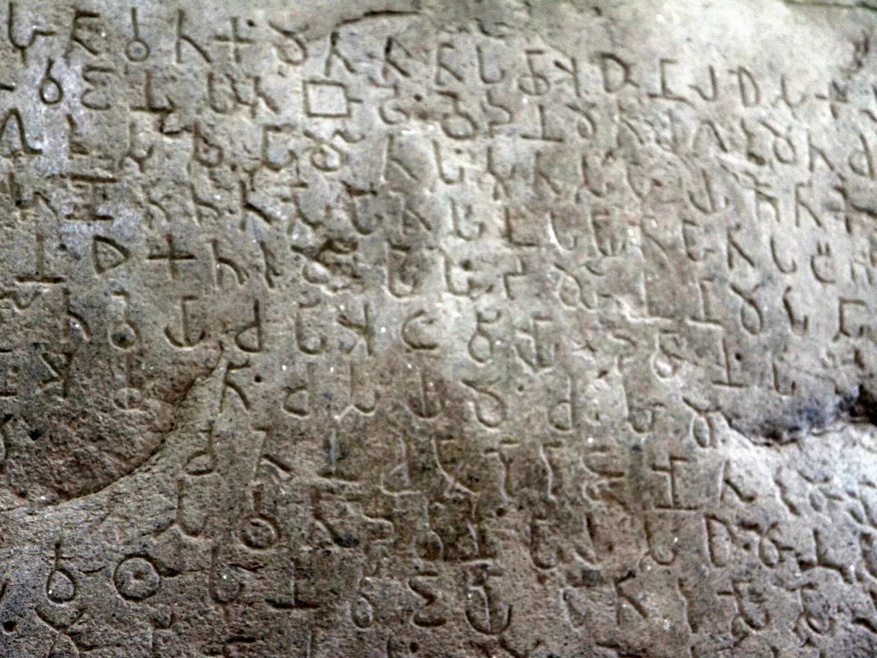 Aşoka’nın Fermanları