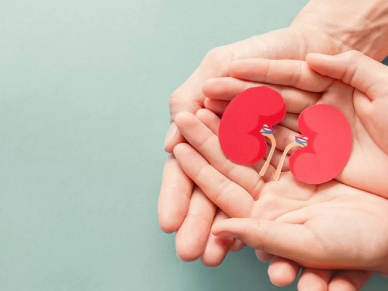 Organ Bağışının Riskleri