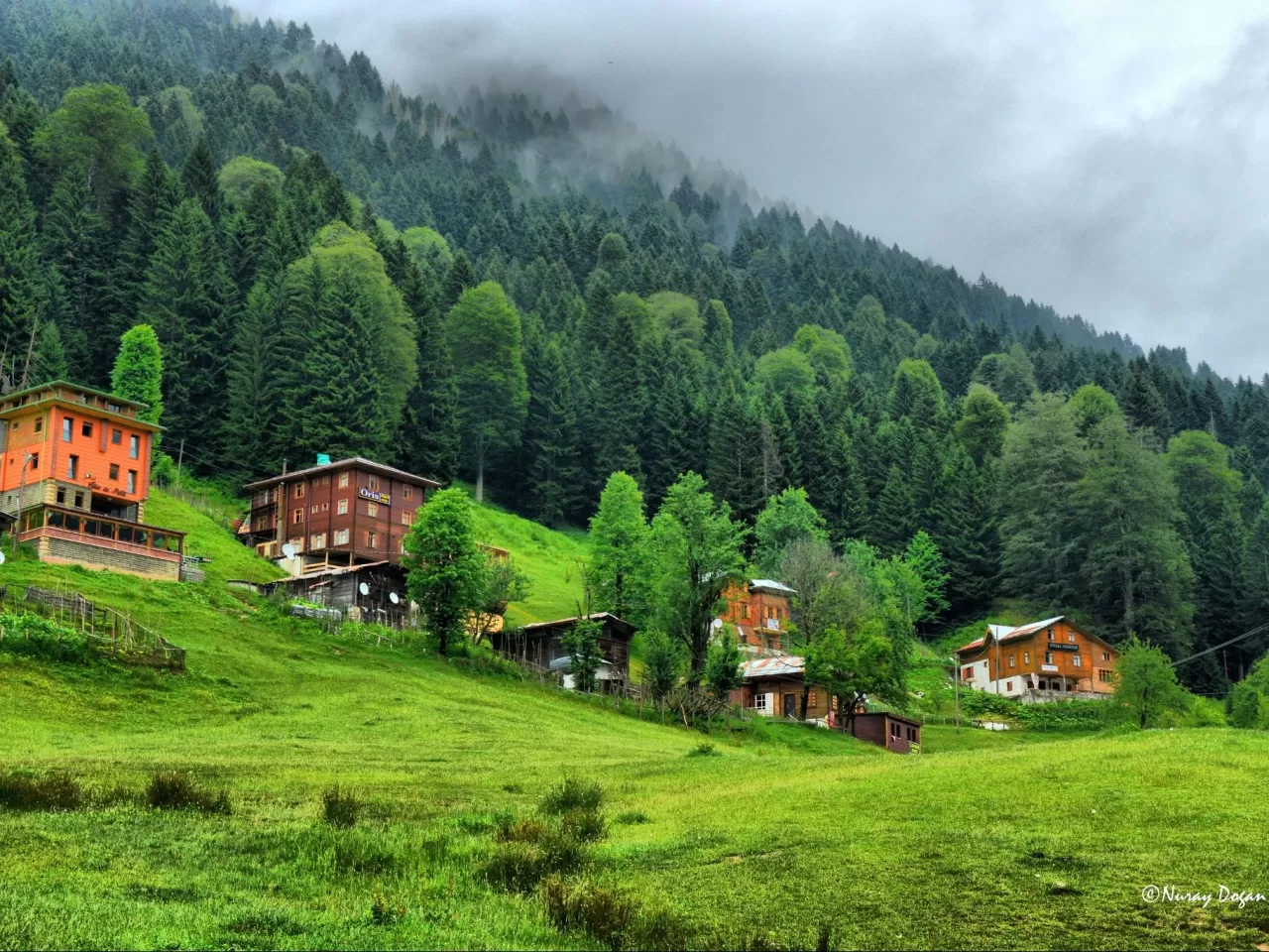 Ayder (Rize)