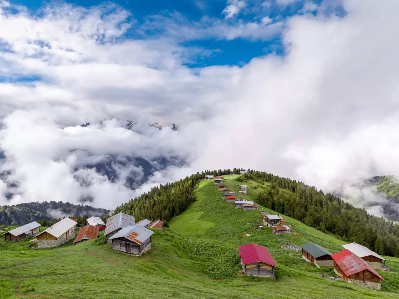 Pokut (Rize)